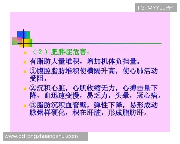 全面提升体能与健康的秘密武器：有氧运动的科学原理与实战技巧