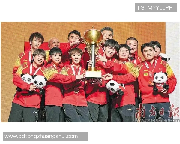 世界杯冠军之路：从历史辉煌到未来挑战，探寻每个冠军背后的传奇故事